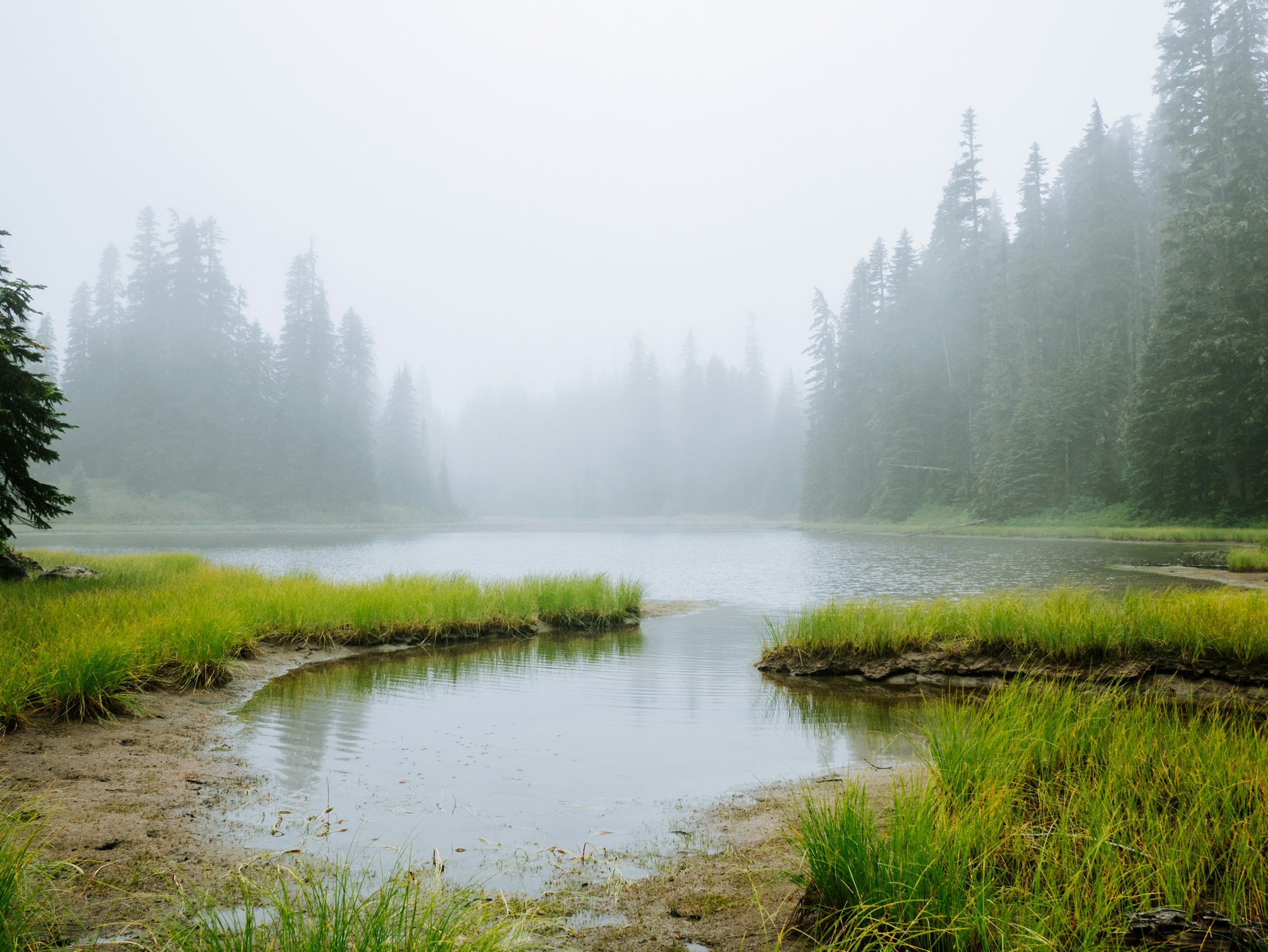 Morning mist lifting over a still lake and forest